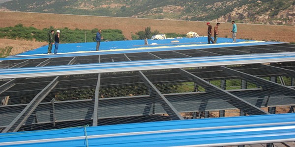 Industrial Shed Construction